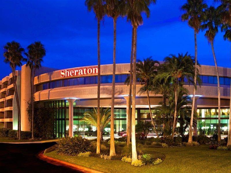 Sheraton Tampa Brandon Hotel Mango Exteriér fotografie