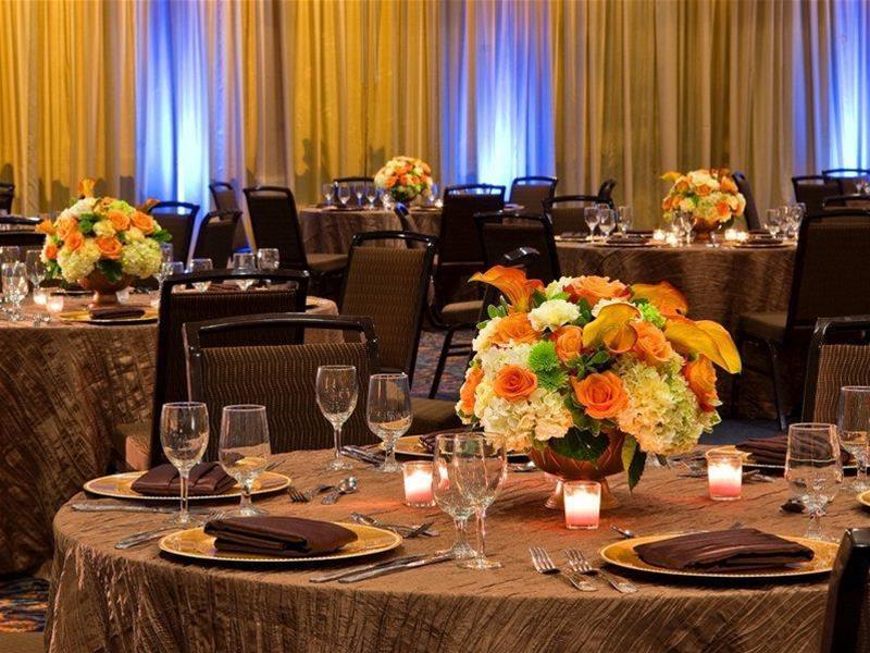 Sheraton Tampa Brandon Hotel Mango Exteriér fotografie