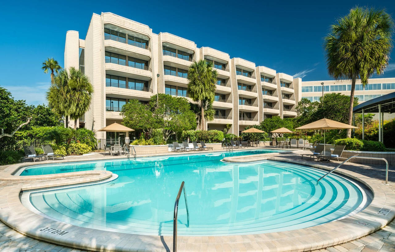Sheraton Tampa Brandon Hotel Mango Exteriér fotografie